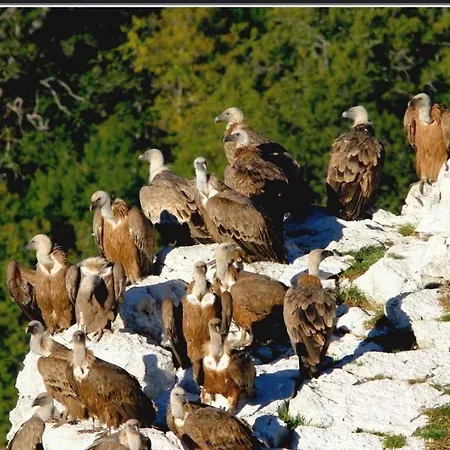 Climatise Parc Paradis 150 M Des Thermes * Greoux-les-Bains