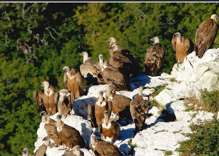 Climatise Parc Paradis 150 M Des Thermes * Greoux-les-Bains